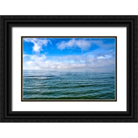 Italy-Riserva Naturale di Massaciuccoli San Rossore-protected coastal forest in Tuscany Black Ornate Wood Framed Art Print with Double Matting by Molinari, Michele