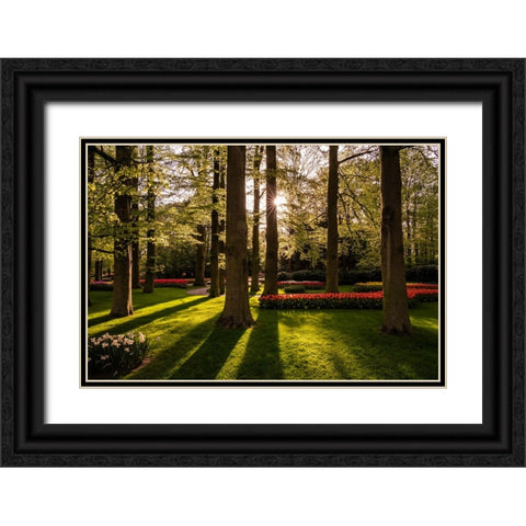 Europe-The Netherlands-Lisse-Keukenhof Gardens at sunrise Black Ornate Wood Framed Art Print with Double Matting by Jaynes Gallery