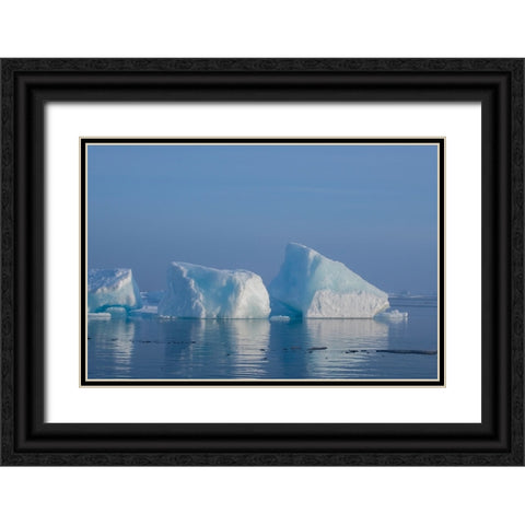 Norway-High Arctic Ice landscape with icebergs Black Ornate Wood Framed Art Print with Double Matting by Hopkins, Cindy Miller