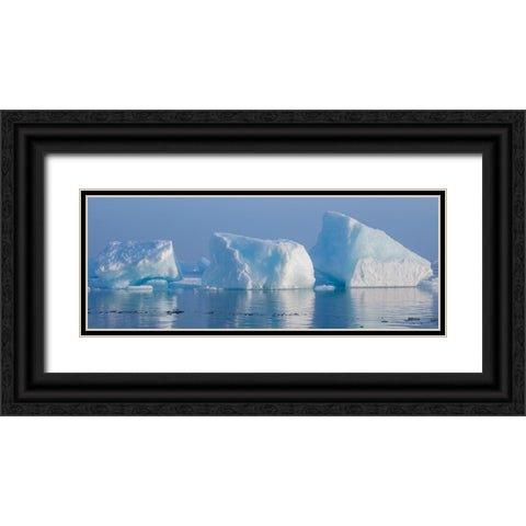 Norway-High Arctic Ice landscape with icebergs Black Ornate Wood Framed Art Print with Double Matting by Hopkins, Cindy Miller
