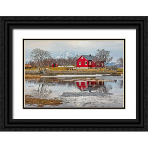 Norway- Lofoten Islands. View across Indrepollen Lake. Black Ornate Wood Framed Art Print with Double Matting by Looney, Hollice