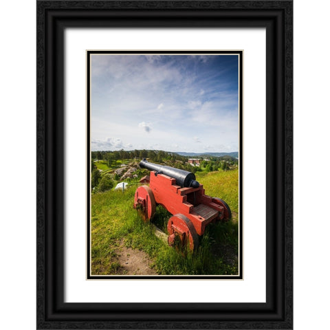 Norway-Ostfold County-Halden-Fredriksten Fortress-historic cannons Black Ornate Wood Framed Art Print with Double Matting by Bibikow, Walter