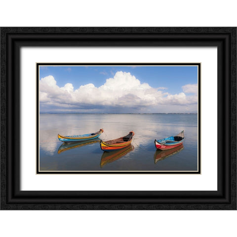 Europe-Portugal-Aveiro Lagoon-Traditional fishing boats moored in water Black Ornate Wood Framed Art Print with Double Matting by Jaynes Gallery