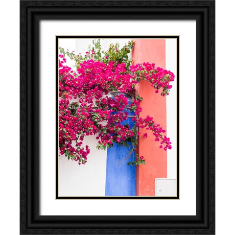 Portugal-Obidos-Dark pink bougainvillea vine against a blue-orange and white striped wall Black Ornate Wood Framed Art Print with Double Matting by Eggers, Julie