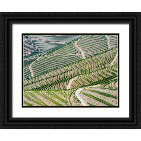 Portugal-Douro Valley-Terraced vineyards lining the hills Black Ornate Wood Framed Art Print with Double Matting by Eggers, Julie