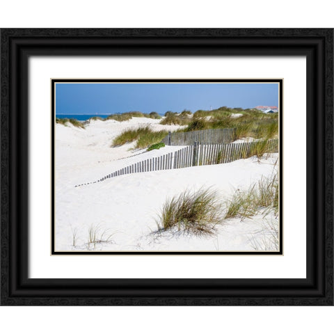 Portugal-Costa Nova-Beach grass-sand and old fence line at the beach resort of Costa Nova near Avei Black Ornate Wood Framed Art Print with Double Matting by Eggers, Julie