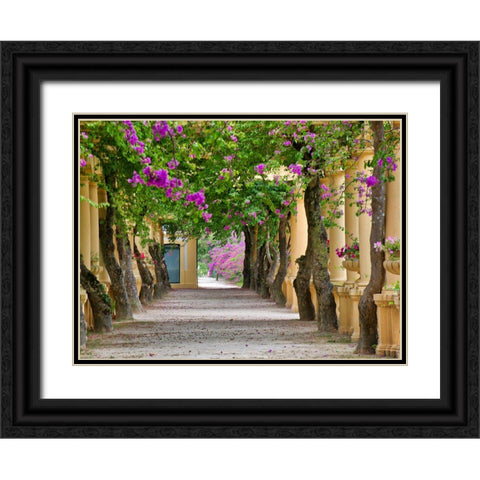 Portugal-Aveiro-Parque Dom Pedro Infante in Aveiro-Stone balustrade with pergola and columns Black Ornate Wood Framed Art Print with Double Matting by Eggers, Julie