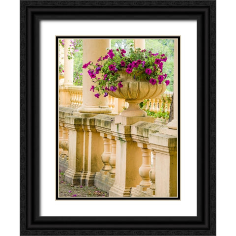 Portugal-Aveiro-Parque Dom Pedro Infante in Aveiro-Stone balustrade with pergola and columns Black Ornate Wood Framed Art Print with Double Matting by Eggers, Julie