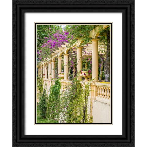 Portugal-Aveiro-Parque Dom Pedro Infante in Aveiro-Stone balustrade with pergola and columns Black Ornate Wood Framed Art Print with Double Matting by Eggers, Julie
