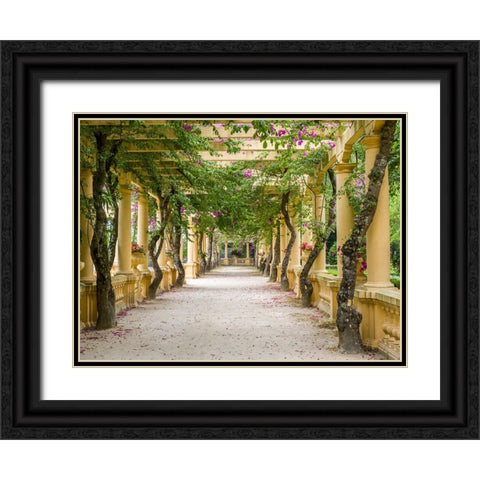 Portugal-Aveiro-Parque Dom Pedro Infante in Aveiro-Stone balustrade with pergola and columns Black Ornate Wood Framed Art Print with Double Matting by Eggers, Julie