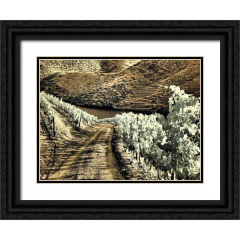 Portugal-Douro Valley-Backcountry road through the vineyards Black Ornate Wood Framed Art Print with Double Matting by Eggers, Terry