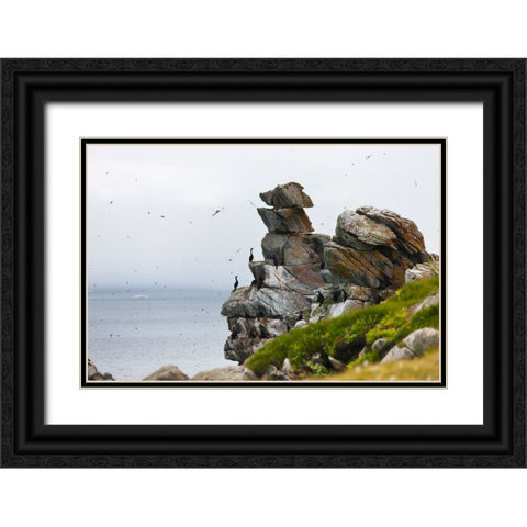 Cormorants and seagulls on rock pile-Kolyuchin Island-once an important Russian Polar Research Stat Black Ornate Wood Framed Art Print with Double Matting by Su, Keren