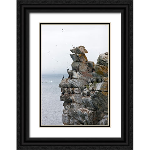 Cormorants and seagulls on rock pile-Kolyuchin Island-once an important Russian Polar Research Stat Black Ornate Wood Framed Art Print with Double Matting by Su, Keren