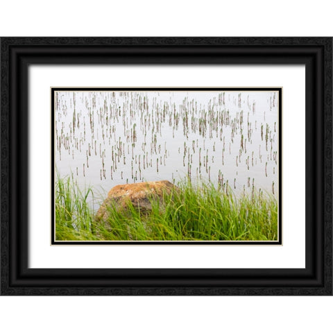 Plant and rock in the glacier river-Yttygran Island-Bering Sea-Russia Far East Black Ornate Wood Framed Art Print with Double Matting by Su, Keren