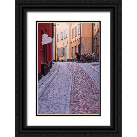 Sweden-Stockholm-Gamla Stan-Old Town-Royal Palace-old town street Black Ornate Wood Framed Art Print with Double Matting by Bibikow, Walter