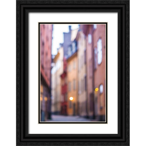 Sweden-Stockholm-Gamla Stan-Old Town-Royal Palace-old town street, Black Ornate Wood Framed Art Print with Double Matting by Bibikow, Walter