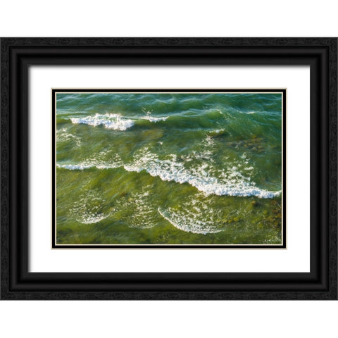 Sweden-Gotland Island-Hogklint-high angle view of the sea from western cliffs Black Ornate Wood Framed Art Print with Double Matting by Bibikow, Walter
