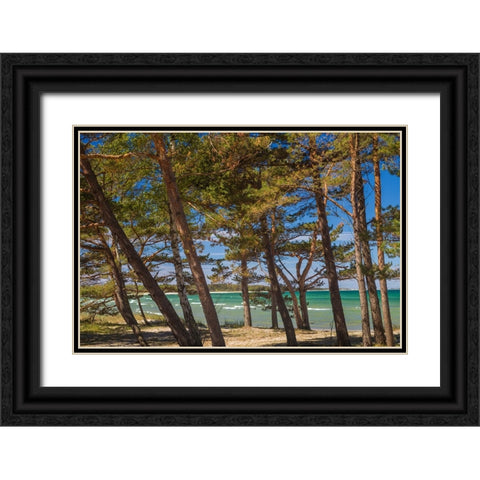 Sweden-Faro Island-Fifang-view of Ajkesvik Bay Black Ornate Wood Framed Art Print with Double Matting by Bibikow, Walter