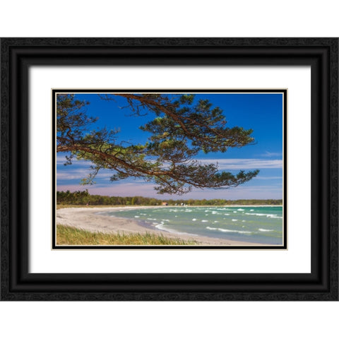 Sweden-Faro Island-Fifang-view of Ajkesvik Bay Black Ornate Wood Framed Art Print with Double Matting by Bibikow, Walter