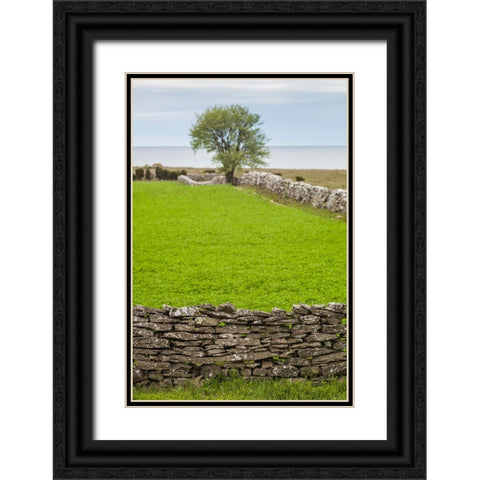 Sweden-Gotland Island-Sundre-stone wall-southern Gotland Black Ornate Wood Framed Art Print with Double Matting by Bibikow, Walter