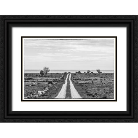 Sweden-Gotland Island-Sundre-country road-southern Gotland Black Ornate Wood Framed Art Print with Double Matting by Bibikow, Walter