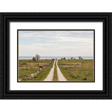 Sweden-Gotland Island-Sundre-country road-southern Gotland Black Ornate Wood Framed Art Print with Double Matting by Bibikow, Walter