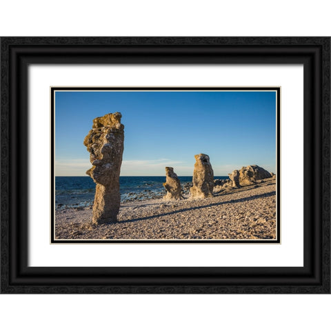 Sweden-Faro Island-Langhammars Area-Langhammar coastal limestone rauk rock-sunset Black Ornate Wood Framed Art Print with Double Matting by Bibikow, Walter