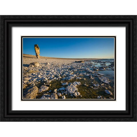 Sweden-Faro Island-Langhammars Area-Langhammar coastal limestone rauk rock-sunset Black Ornate Wood Framed Art Print with Double Matting by Bibikow, Walter
