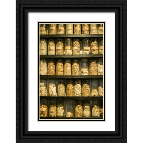Sweden-Norrkoping-former mill town-cotton samples Black Ornate Wood Framed Art Print with Double Matting by Bibikow, Walter