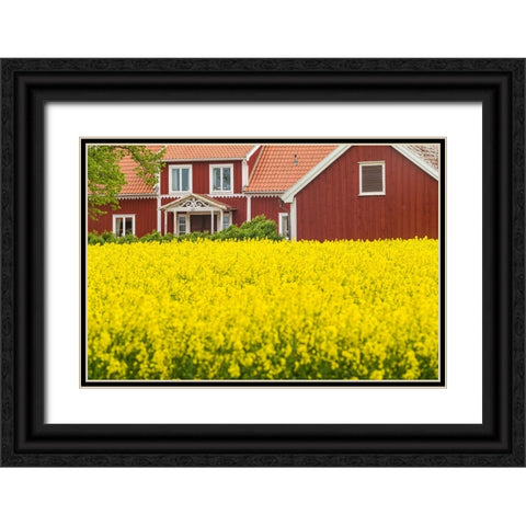 Sweden-Lake Vattern Area-Renstad-farm-springtime Black Ornate Wood Framed Art Print with Double Matting by Bibikow, Walter
