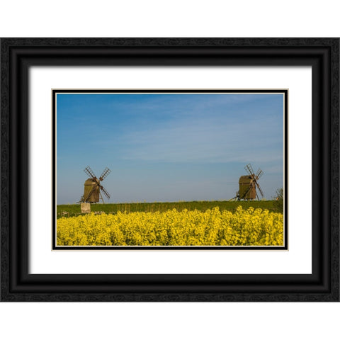 Sweden-Oland Island-Lerkaka-antique wooden windmills Black Ornate Wood Framed Art Print with Double Matting by Bibikow, Walter