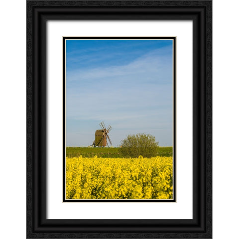 Sweden-Oland Island-Lerkaka-antique wooden windmills Black Ornate Wood Framed Art Print with Double Matting by Bibikow, Walter