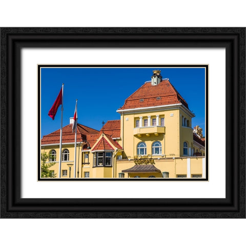 Sweden-Scania-Malmo-Kungsparken park-Casino-exterior Black Ornate Wood Framed Art Print with Double Matting by Bibikow, Walter