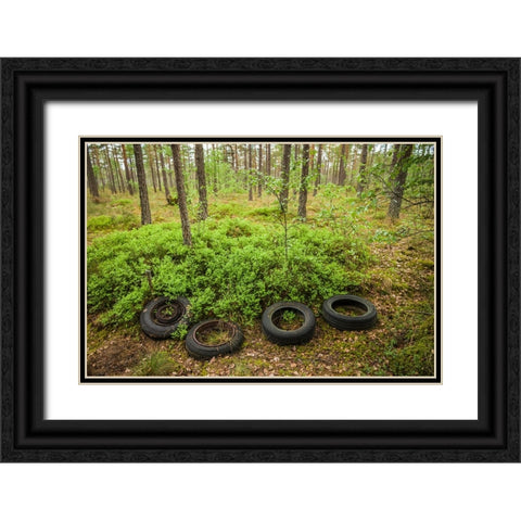 Sweden-Smaland-Ryd-Kyrko Mosse Car Cemetery-former junkyard now pubic park-old tires Black Ornate Wood Framed Art Print with Double Matting by Bibikow, Walter