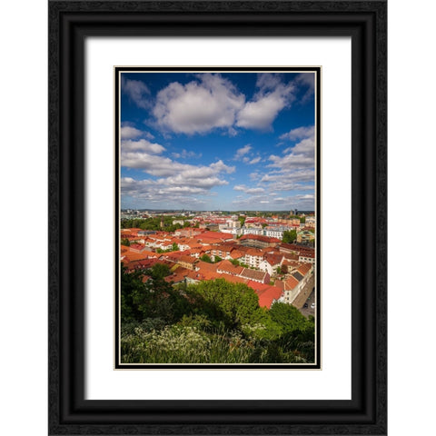 Sweden-Vastragotland and Bohuslan-Gothenburg-high angle city view from the Skansparken-late afterno Black Ornate Wood Framed Art Print with Double Matting by Bibikow, Walter