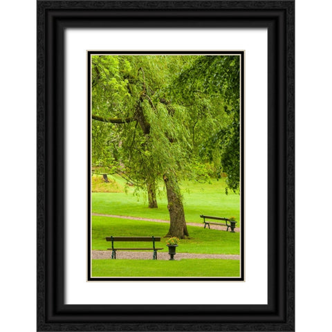 Sweden-Bohuslan-Gustavsberg-Swedens Oldest Resort-village park Black Ornate Wood Framed Art Print with Double Matting by Bibikow, Walter