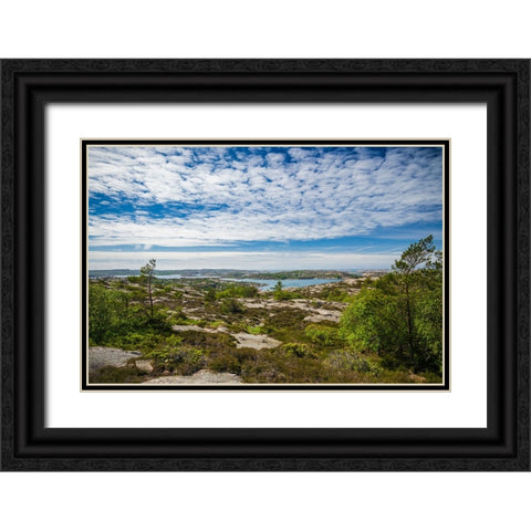 Sweden-Bohuslan-Fjallbacka-the Vetteberget cliff Black Ornate Wood Framed Art Print with Double Matting by Bibikow, Walter