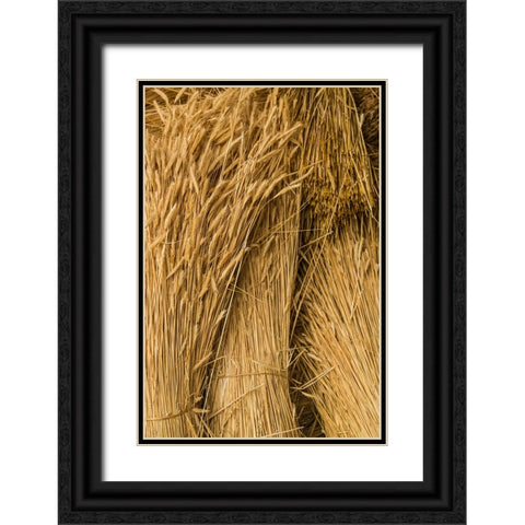 Sweden-Bohuslan-Tanumshede-cut wheat Black Ornate Wood Framed Art Print with Double Matting by Bibikow, Walter