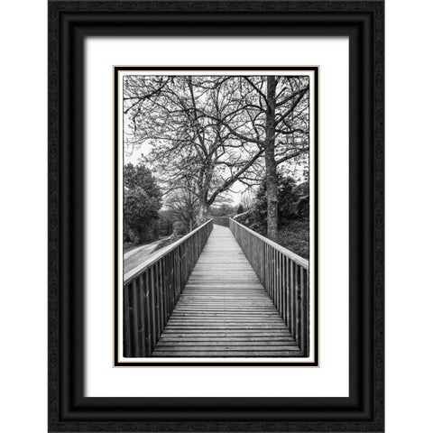 Sweden-Bohuslan-Tanumshede-Tanum Area-walkway to Bronze Age carvings Black Ornate Wood Framed Art Print with Double Matting by Bibikow, Walter