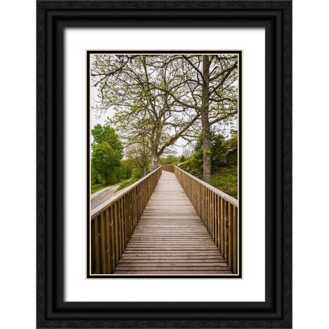 Sweden-Bohuslan-Tanumshede-Tanum Area-walkway to Bronze Age carvings Black Ornate Wood Framed Art Print with Double Matting by Bibikow, Walter
