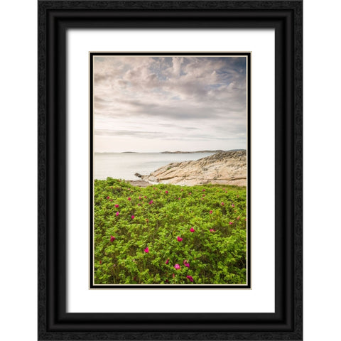 Sweden-Bohuslan-Salto Island-rocky cove seascape Black Ornate Wood Framed Art Print with Double Matting by Bibikow, Walter