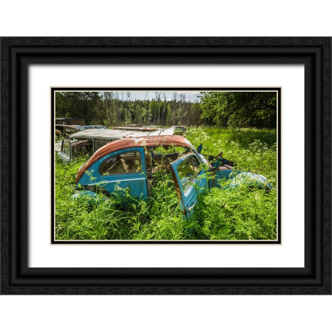 Sweden-Varmland-Bastnas-Bastnas Car Cemetery public park-antique car junkyard Black Ornate Wood Framed Art Print with Double Matting by Bibikow, Walter