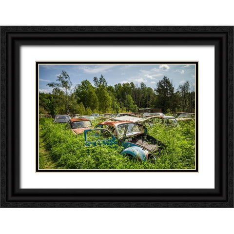 Sweden-Varmland-Bastnas-Bastnas Car Cemetery public park-antique car junkyard Black Ornate Wood Framed Art Print with Double Matting by Bibikow, Walter