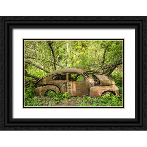 Sweden-Varmland-Bastnas-Bastnas Car Cemetery public park-antique car junkyard Black Ornate Wood Framed Art Print with Double Matting by Bibikow, Walter