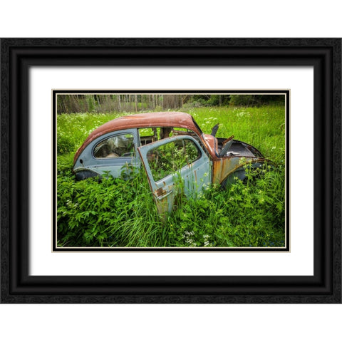Sweden-Varmland-Bastnas-Bastnas Car Cemetery public park-antique car junkyard Black Ornate Wood Framed Art Print with Double Matting by Bibikow, Walter