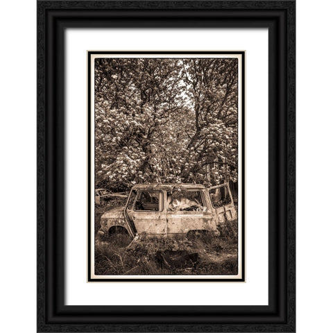 Sweden-Varmland-Bastnas-Bastnas Car Cemetery public park-antique car junkyard Black Ornate Wood Framed Art Print with Double Matting by Bibikow, Walter