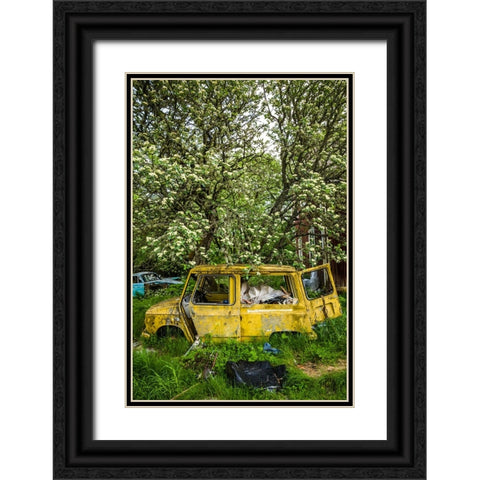Sweden-Varmland-Bastnas-Bastnas Car Cemetery public park-antique car junkyard Black Ornate Wood Framed Art Print with Double Matting by Bibikow, Walter