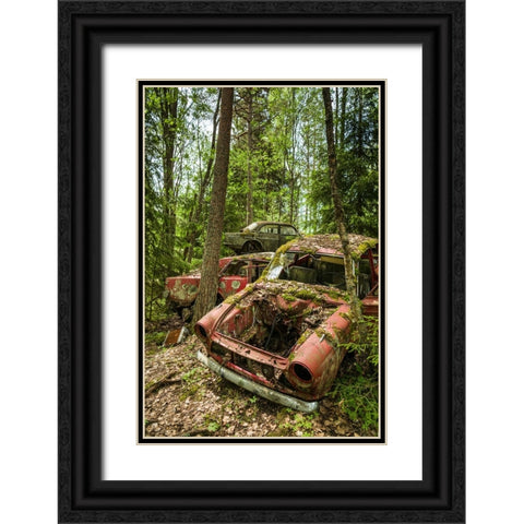 Sweden-Varmland-Bastnas-Bastnas Car Cemetery public park-antique car junkyard Black Ornate Wood Framed Art Print with Double Matting by Bibikow, Walter