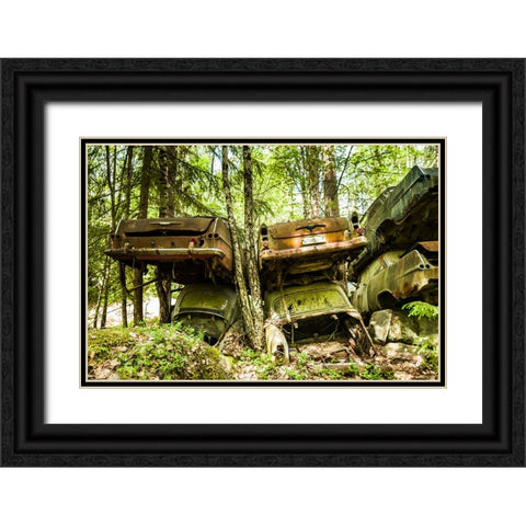 Sweden-Varmland-Bastnas-Bastnas Car Cemetery public park-antique car junkyard Black Ornate Wood Framed Art Print with Double Matting by Bibikow, Walter