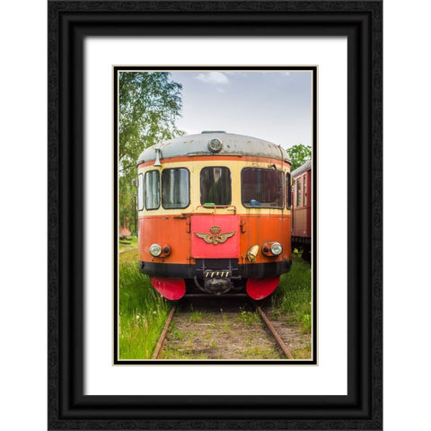 Sweden-Vastmanland-Nora-antique train wagons Black Ornate Wood Framed Art Print with Double Matting by Bibikow, Walter